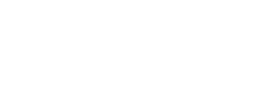 Qudini